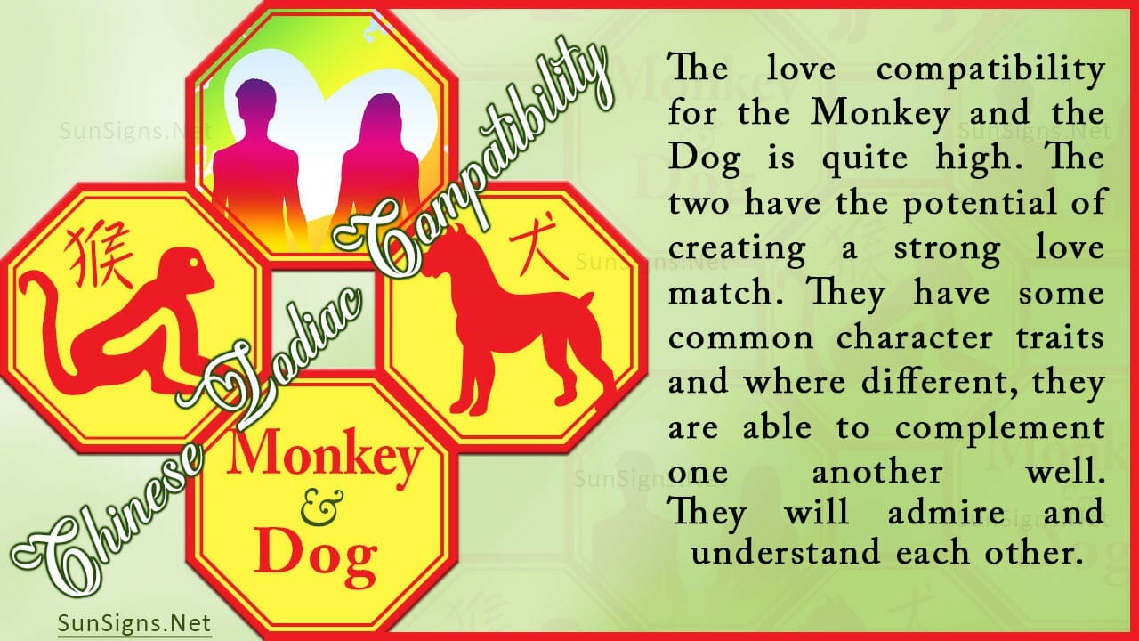 Monkey Daily Horoscope 2019
